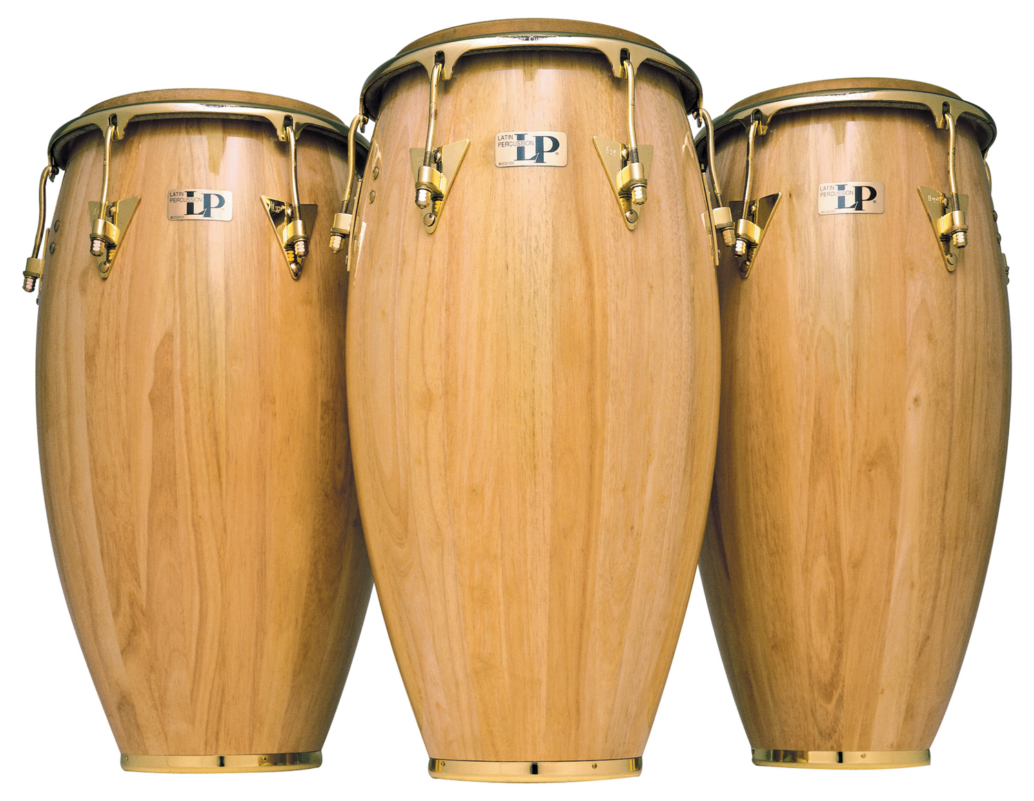congas3.jpg